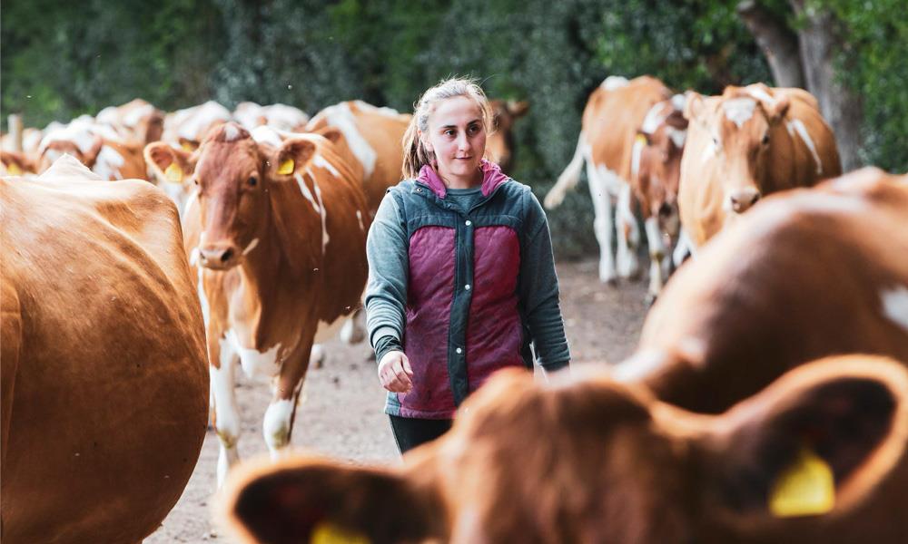 Value-Added Dairy Businesses