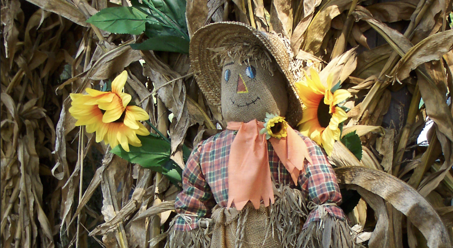 Tips for AgriTourism Entrepreneurs